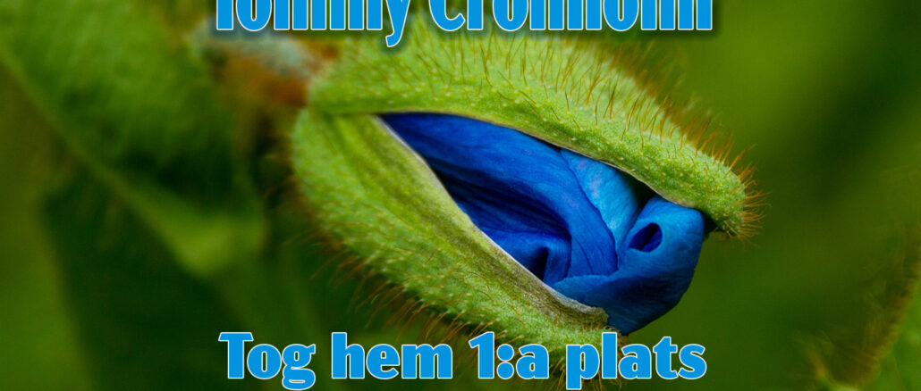 Vinnande Bild i Juni Månadens Bild - fotograf Tommy Cronholm
