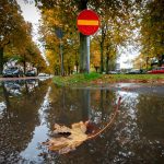 Gatufotogruppen - Regn