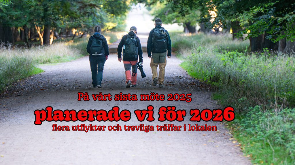 fotoklubben-med-bilden-i-fokus