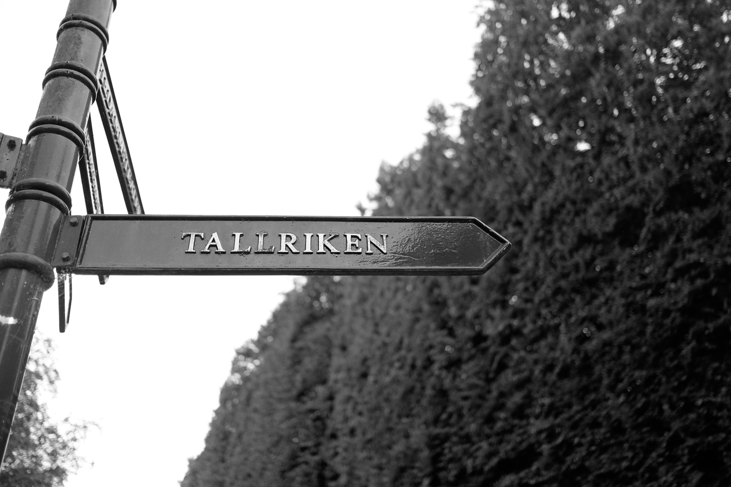 6ulfsvensson