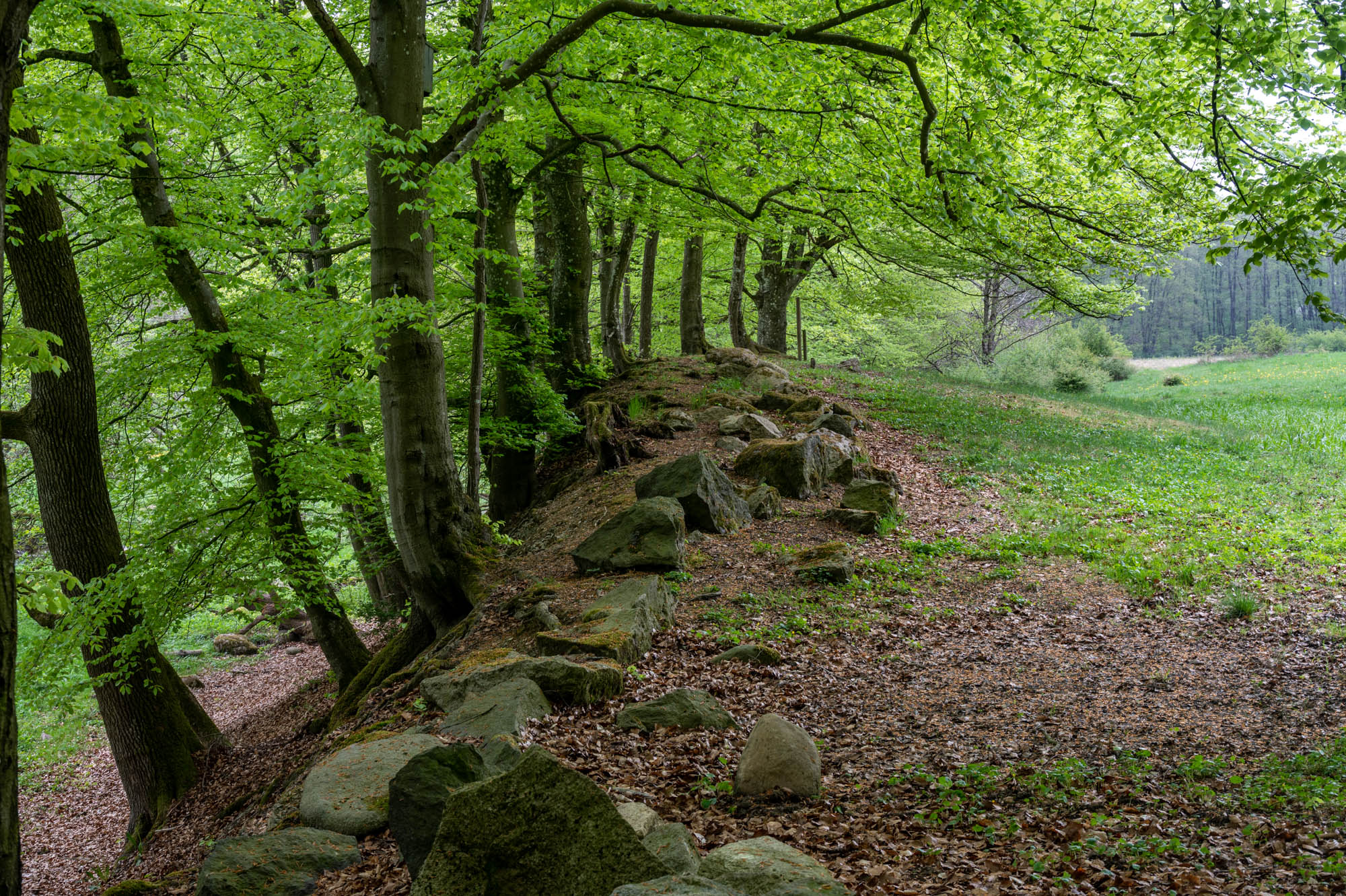 Arne-Persson-3