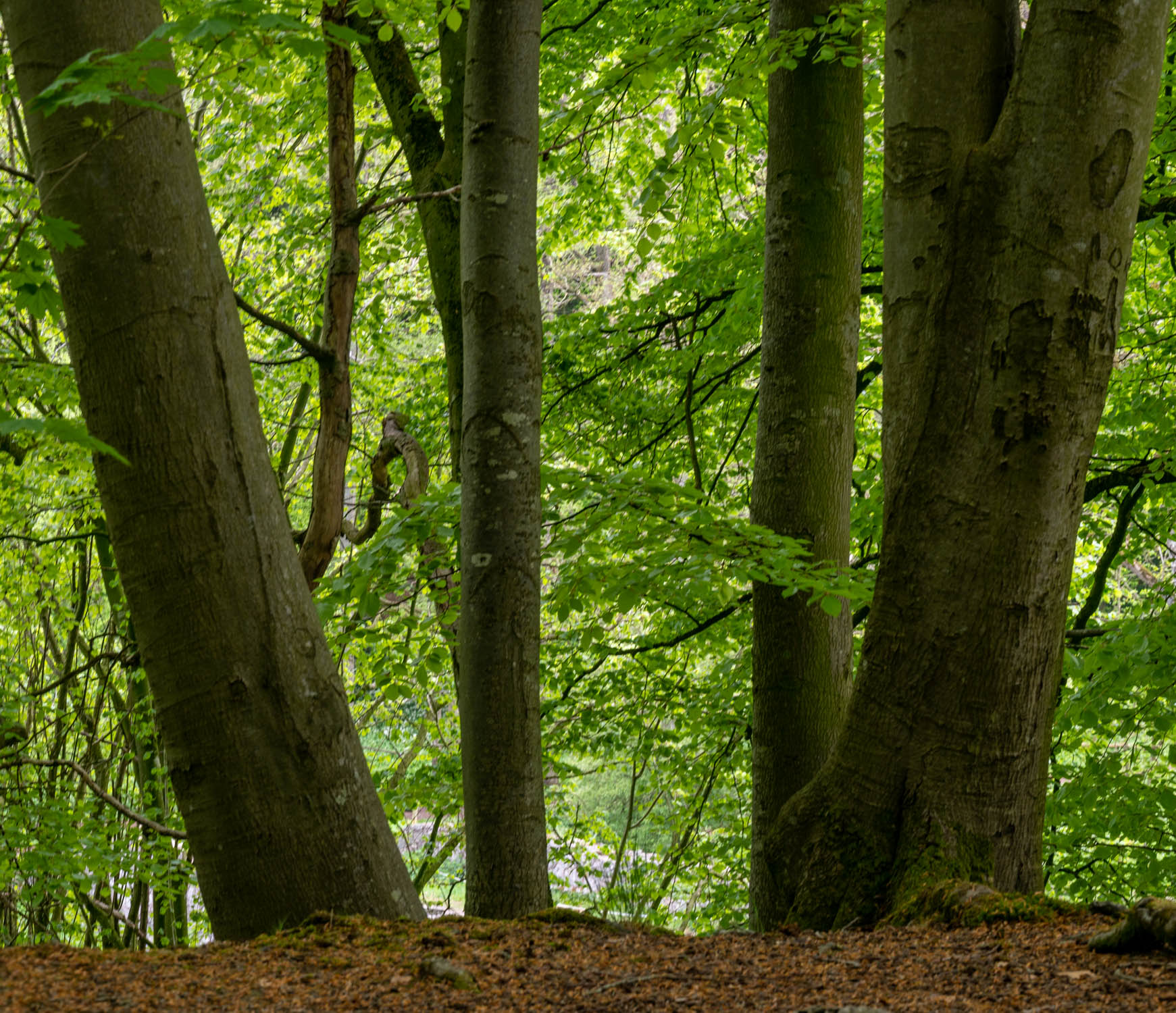 Arne-Persson-4
