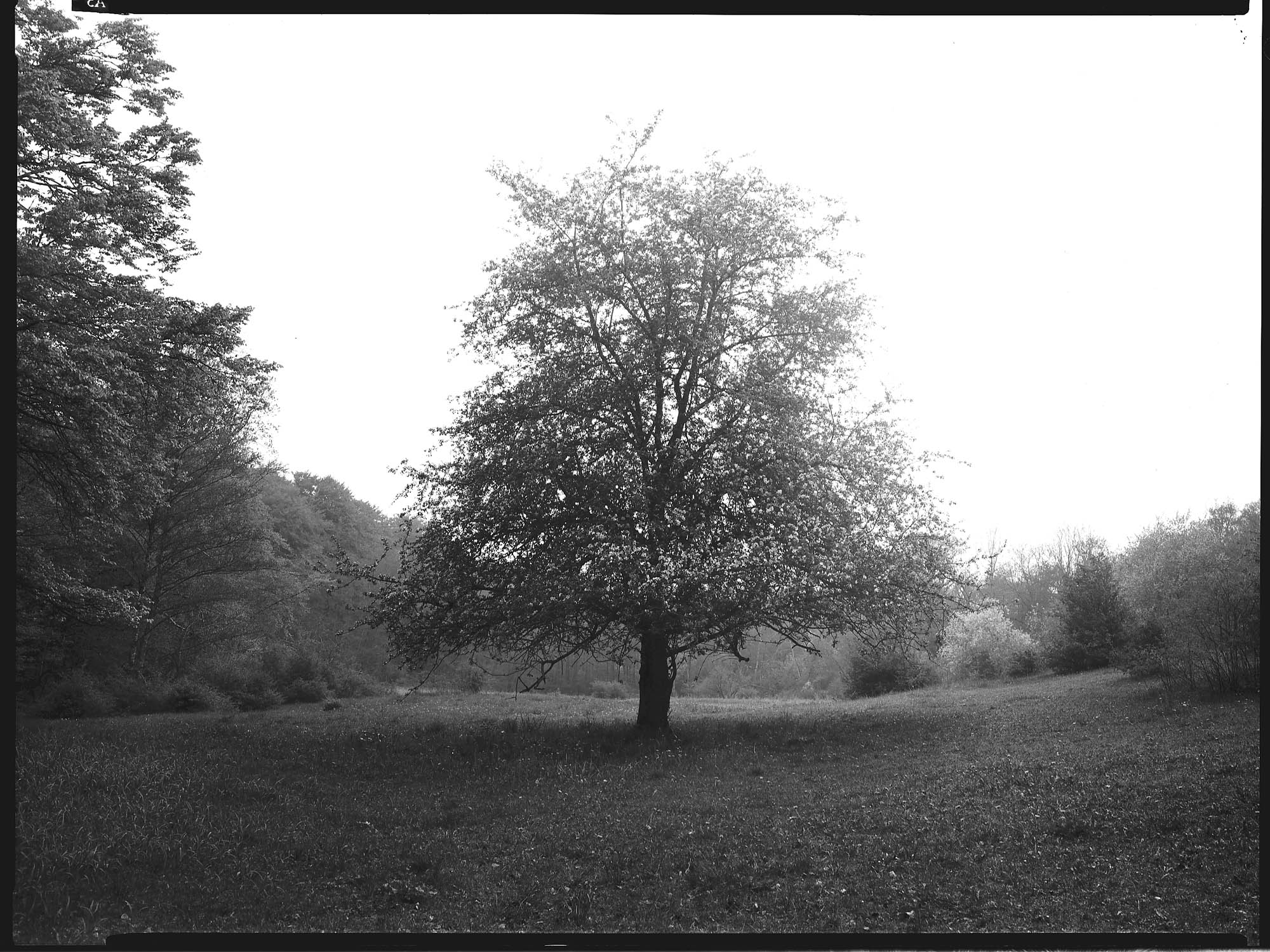 Kenneth-storformat-3