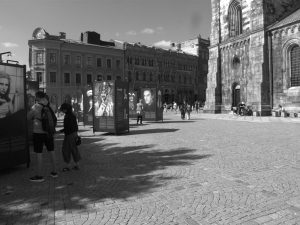 03-Sep-bild