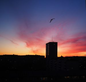 01-Juni-bild 
