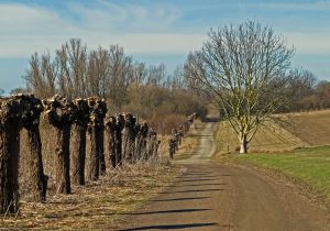 02-Maj-bild 