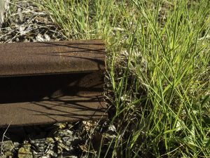 03-Juni-bild 