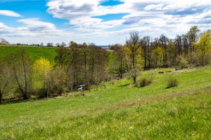 08-Maj-bild
