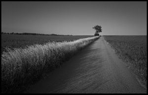 09 JM-Breider