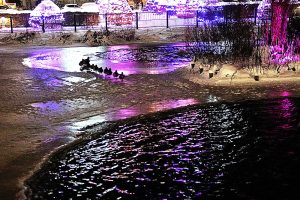 11 Jan-Lindskog