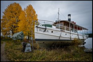 11 Jan-Michael-Breider