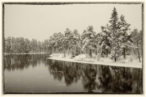11 Jan-Michael-Breider