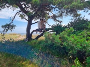 11 Britt-Marie Löfgren