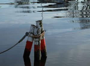 23-Juni-bild