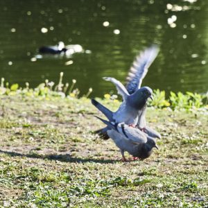 24-okt-bild 