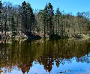 25-Maj-bild