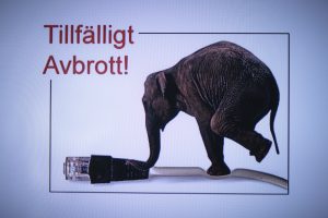 26-Juni-bild